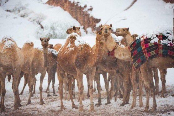 Winter in Arab Winter in Arab